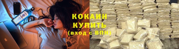 PSILOCYBIN Магадан