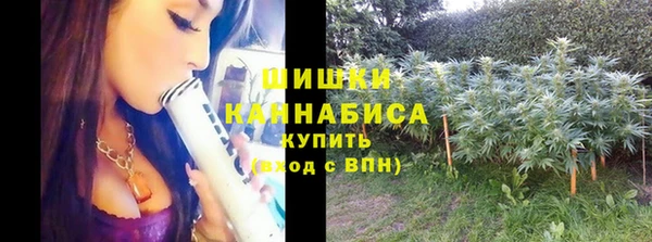 PSILOCYBIN Магадан